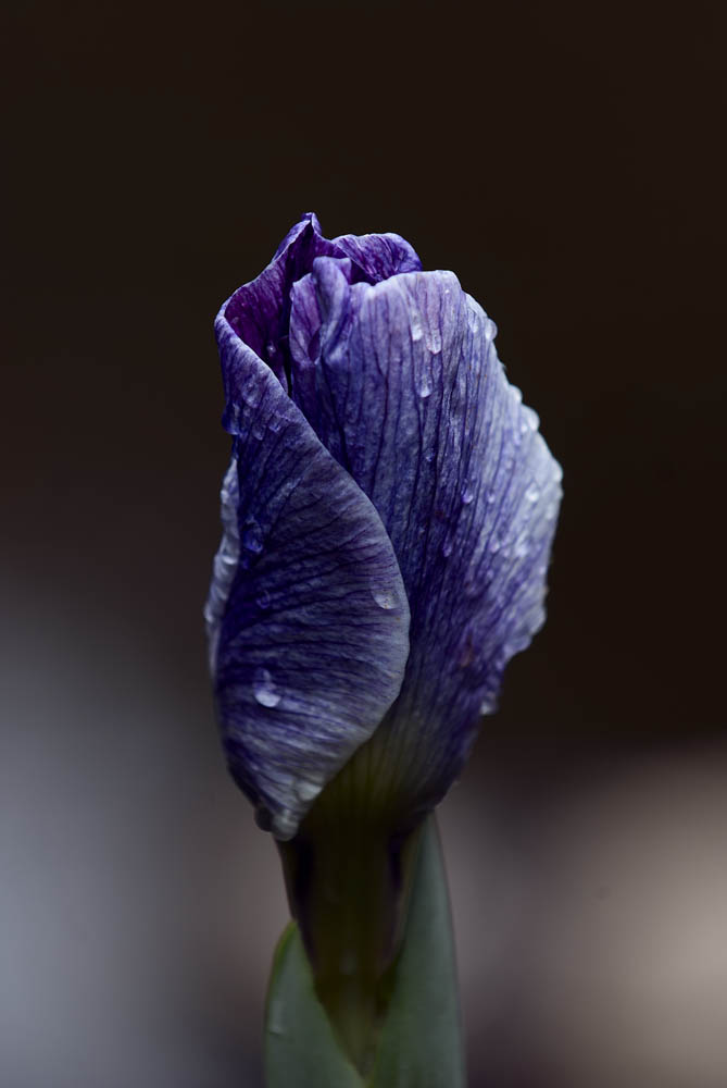 placeholder image sq